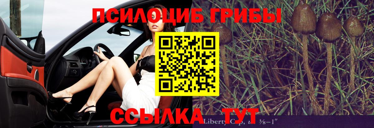 Псилоцибиновые грибы MAGIC MUSHROOMS Луга