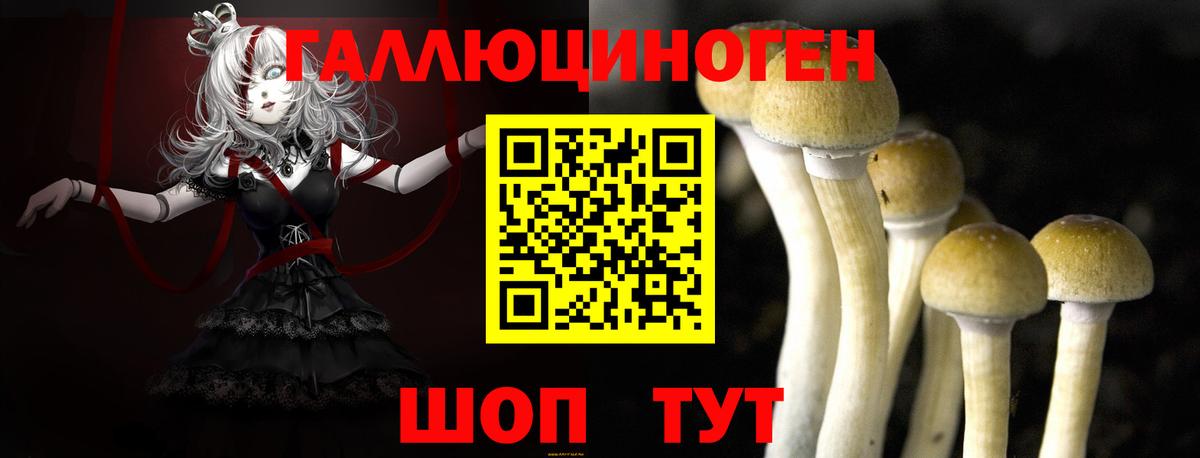 где купить наркотик  Вход с VPN  Луга  Псилоцибиновые грибы ЛСД 